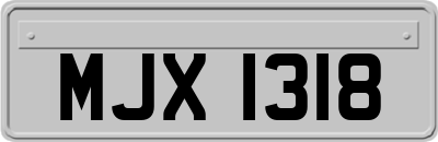 MJX1318
