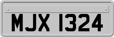 MJX1324