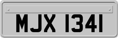 MJX1341