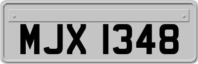 MJX1348