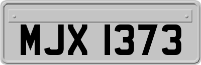 MJX1373