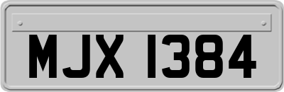 MJX1384