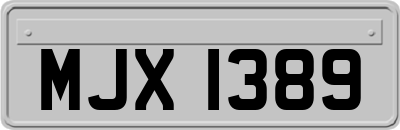 MJX1389