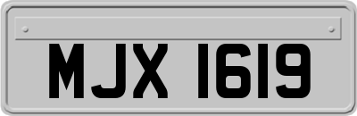 MJX1619