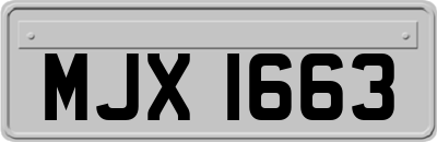 MJX1663