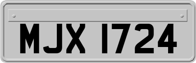 MJX1724