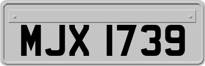 MJX1739