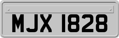MJX1828