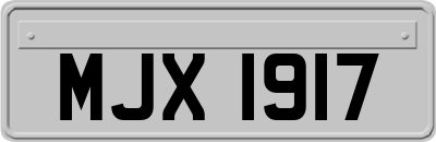 MJX1917