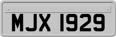 MJX1929