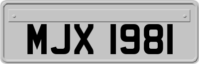 MJX1981