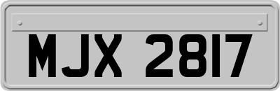 MJX2817