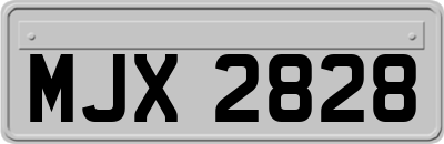 MJX2828