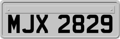 MJX2829