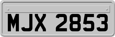 MJX2853