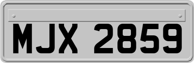 MJX2859