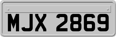 MJX2869