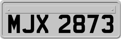 MJX2873