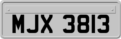 MJX3813