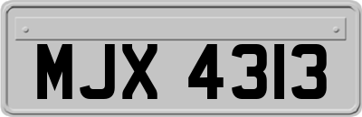 MJX4313