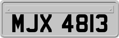 MJX4813
