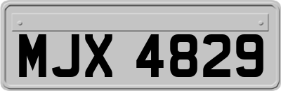 MJX4829