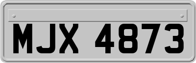 MJX4873