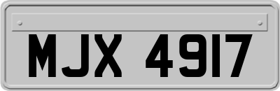 MJX4917