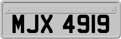 MJX4919