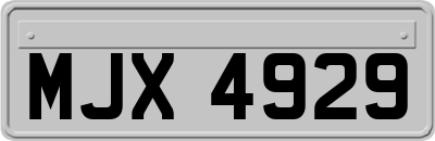 MJX4929