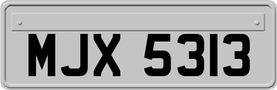 MJX5313