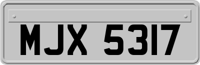 MJX5317