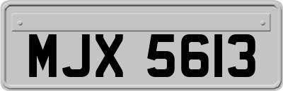 MJX5613