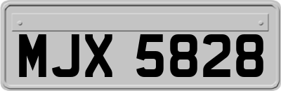 MJX5828