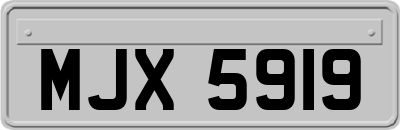 MJX5919