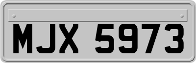 MJX5973