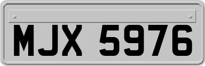 MJX5976