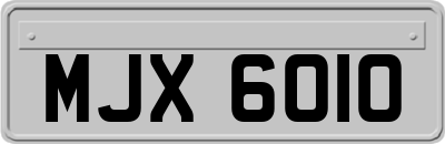 MJX6010