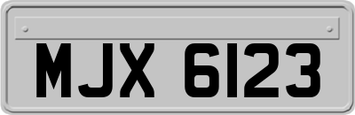 MJX6123