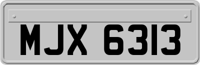 MJX6313