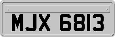 MJX6813