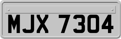 MJX7304