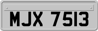 MJX7513