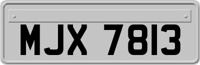 MJX7813