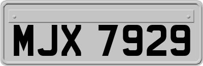 MJX7929