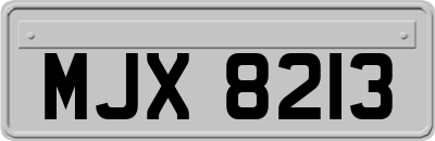 MJX8213