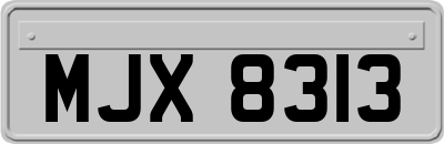 MJX8313
