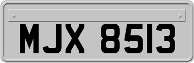 MJX8513