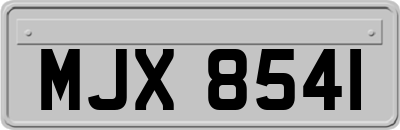 MJX8541