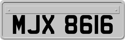 MJX8616